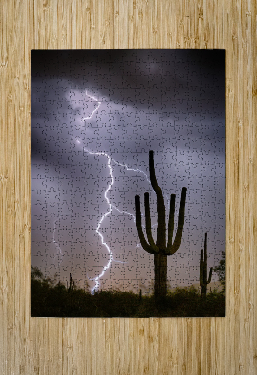 Sonoran Desert Monsoon Storming  HD Metal print with Floating Frame on Back
