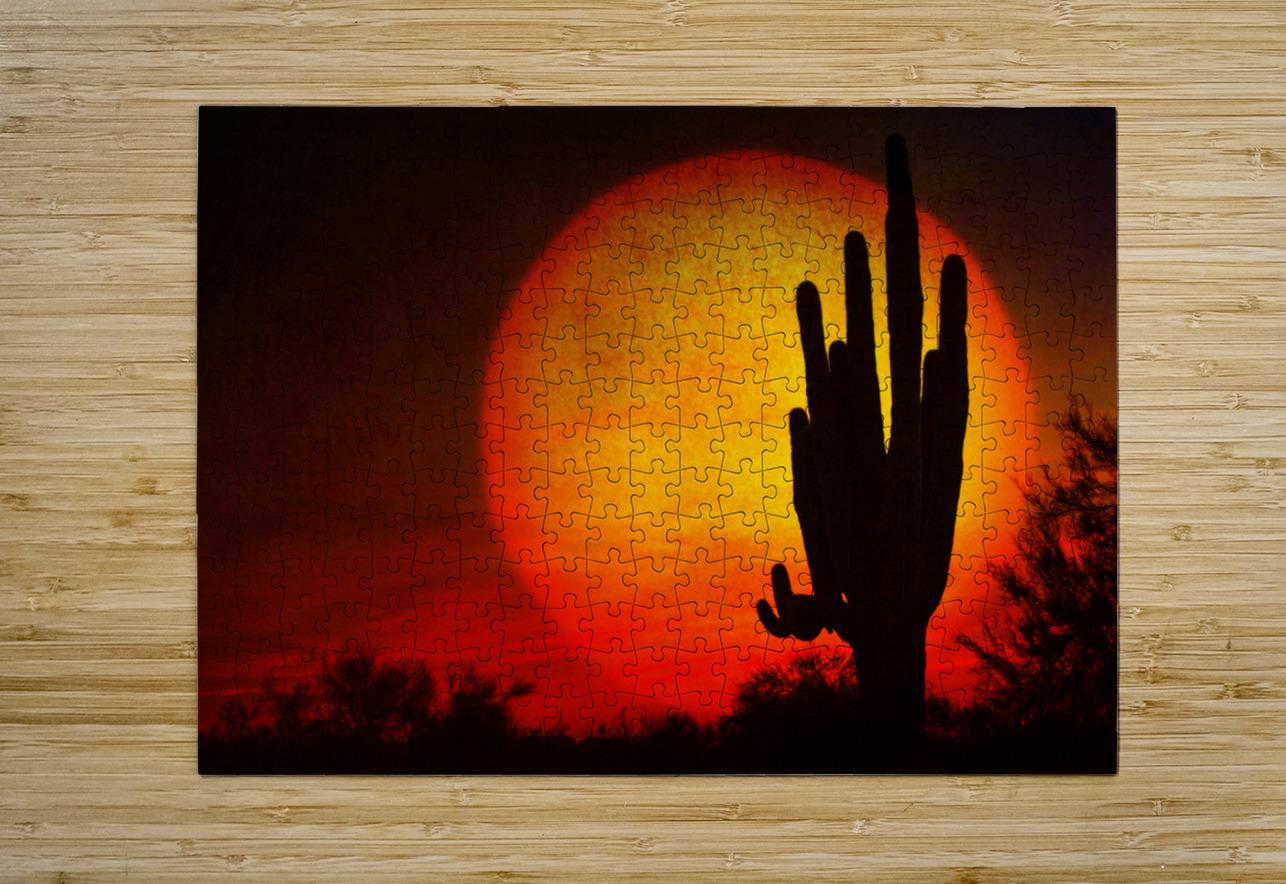 Big Sun Saguaro Sunset Bo Insogna Puzzle printing