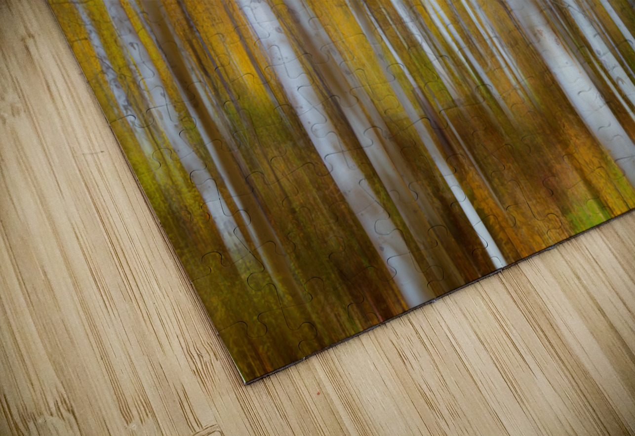 Sleepy Hollow Bo Insogna Puzzle