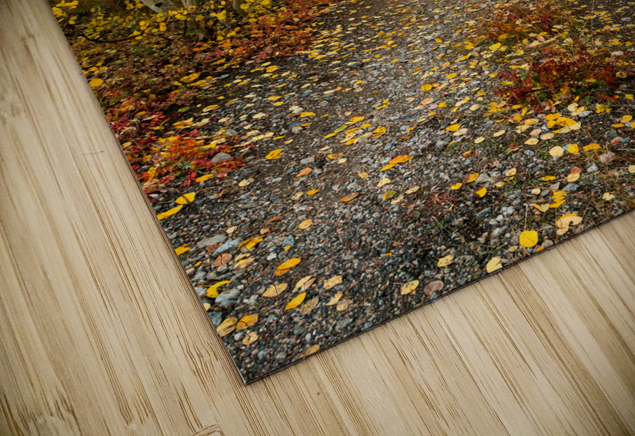 Inviting Autumn Hiking Trail Bo Insogna Puzzle