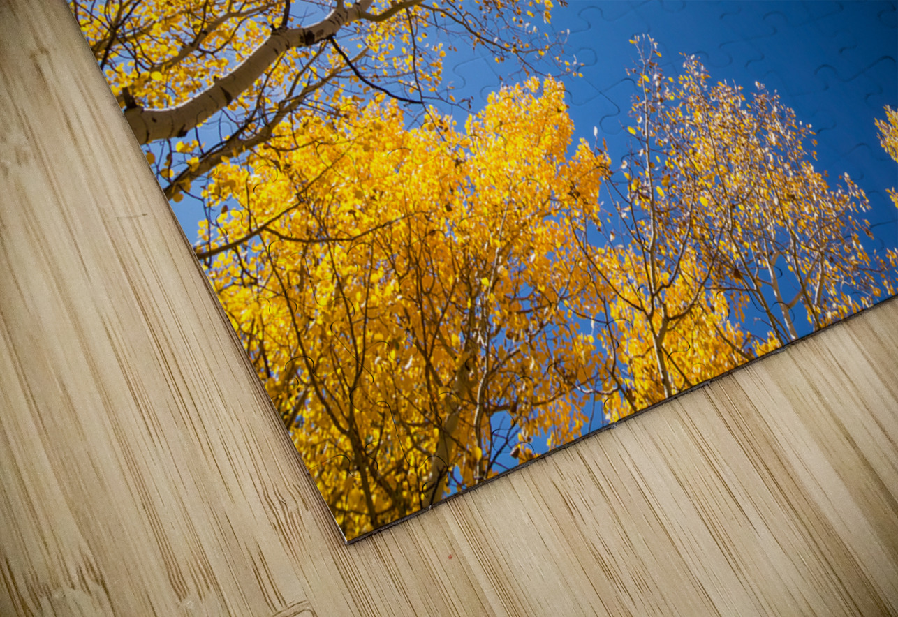 Sunny Day Bo Insogna Puzzle