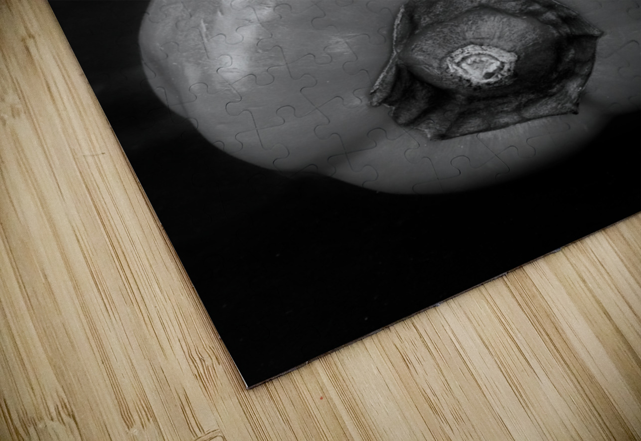 Red Pepper Bringing Sexy Back Black and White Bo Insogna Puzzle