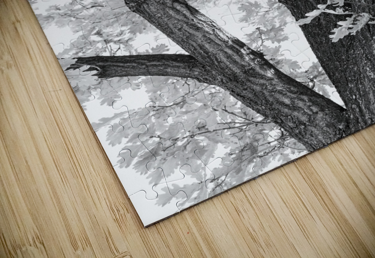 Tree mendous Elegance in Black and White Bo Insogna Puzzle