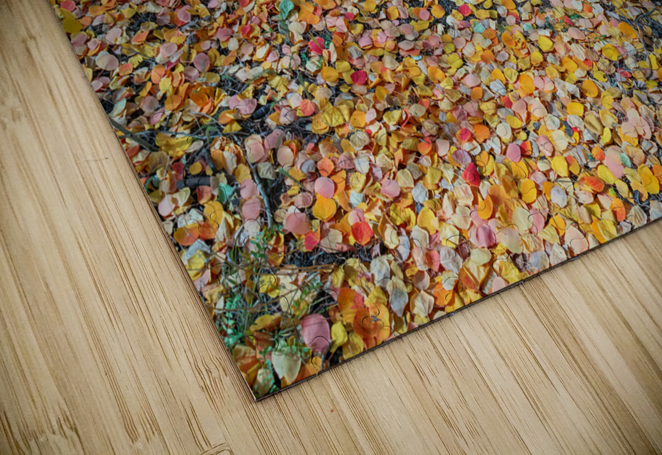 Art By Mother Nature Bo Insogna Puzzle