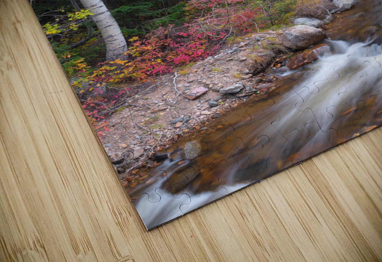 Tranquility on the Stream  Bo Insogna Puzzle