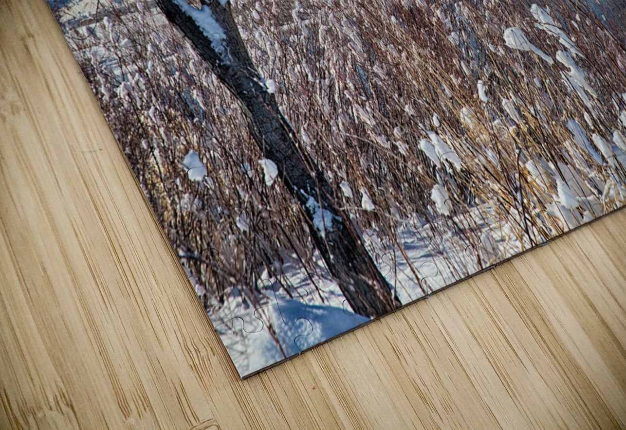 Boulder Colorado Winter Season Scenic View Bo Insogna Puzzle