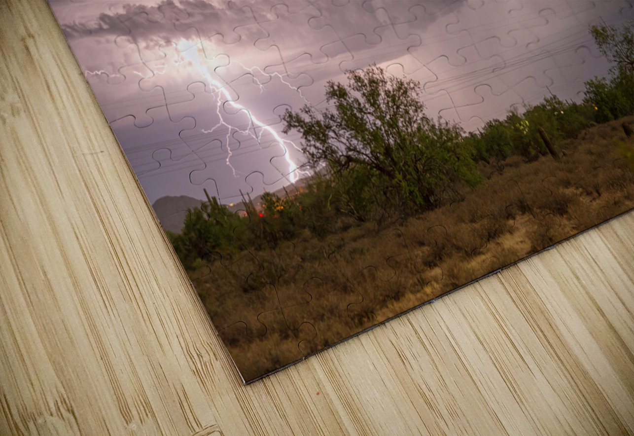 Arizona Power Bo Insogna Puzzle