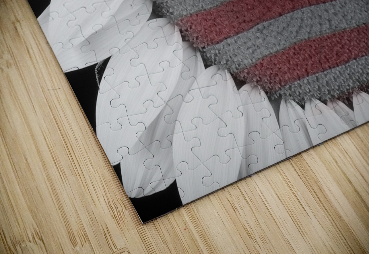 American Sunflower Power Bo Insogna Puzzle