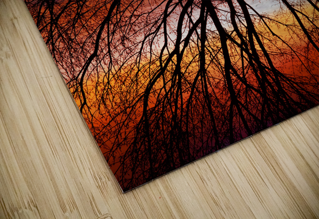Sunset Tree Silhouette Abstract 2 Bo Insogna Puzzle