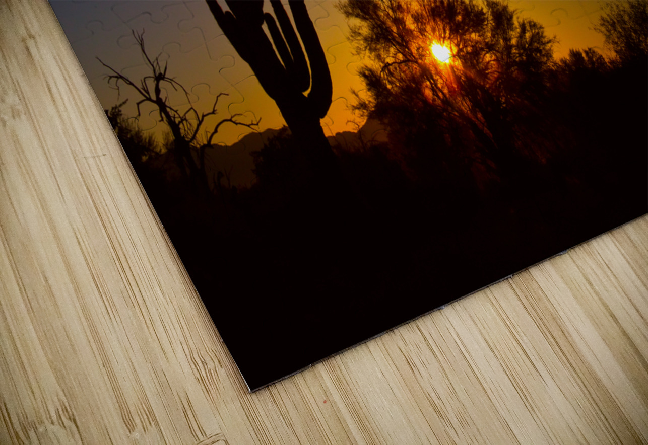 Just Another Sonoran Desert Sunrise Bo Insogna Puzzle