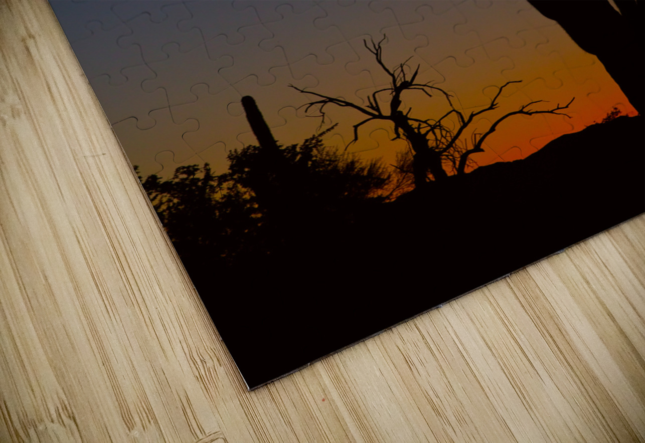 Sonoran Desert Sunrise Bo Insogna Puzzle