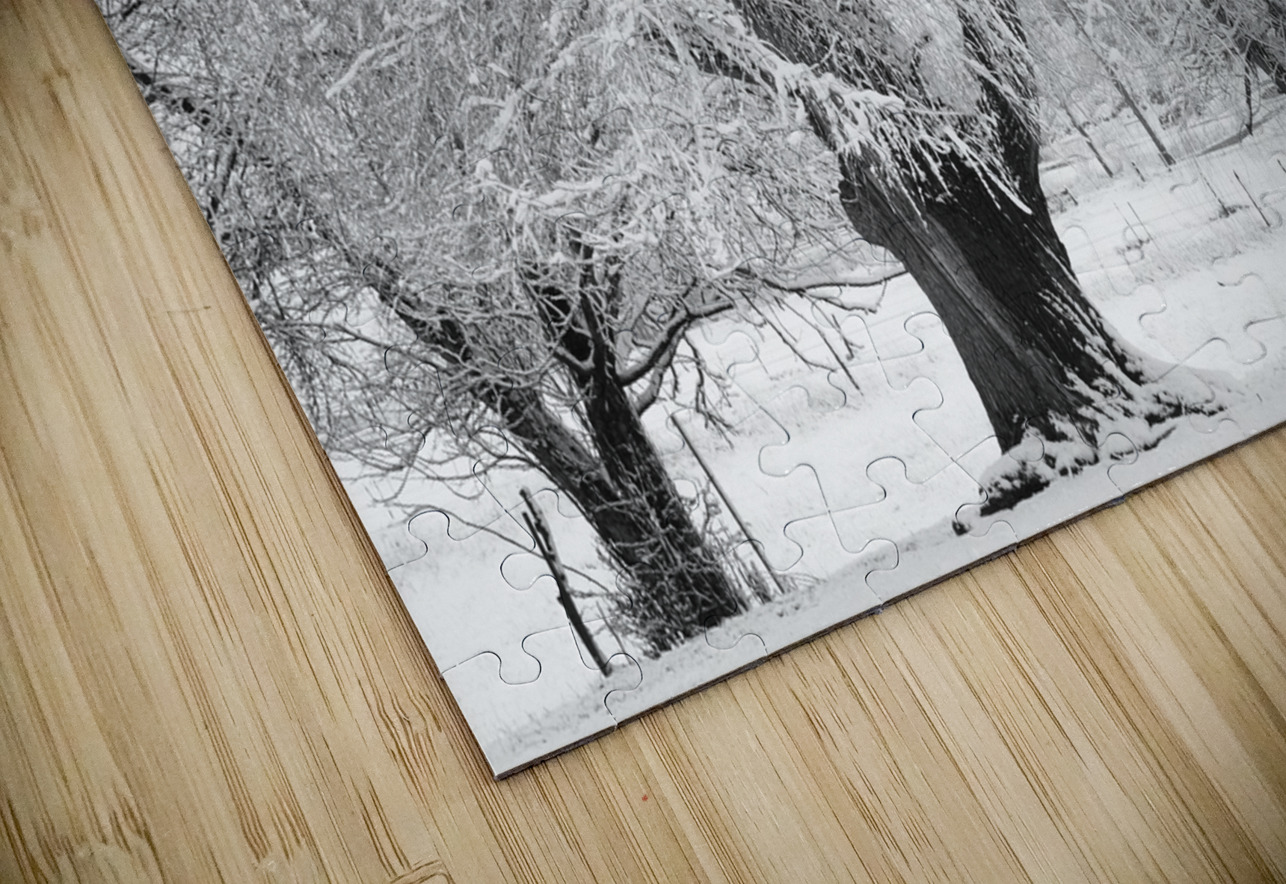 Three Trees Bo Insogna Puzzle