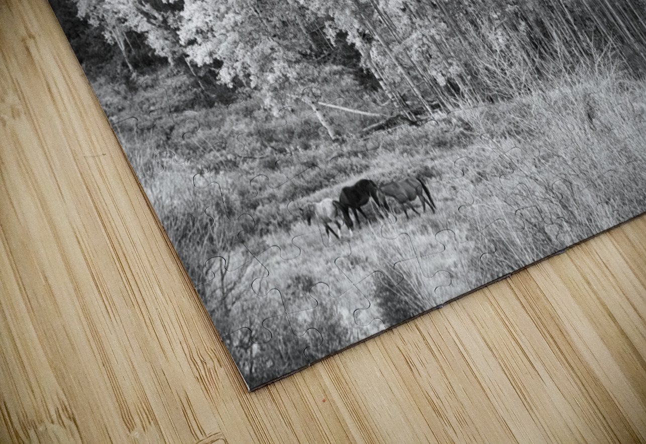 Autumn Grazing Horses Bonanza Bo Insogna Puzzle