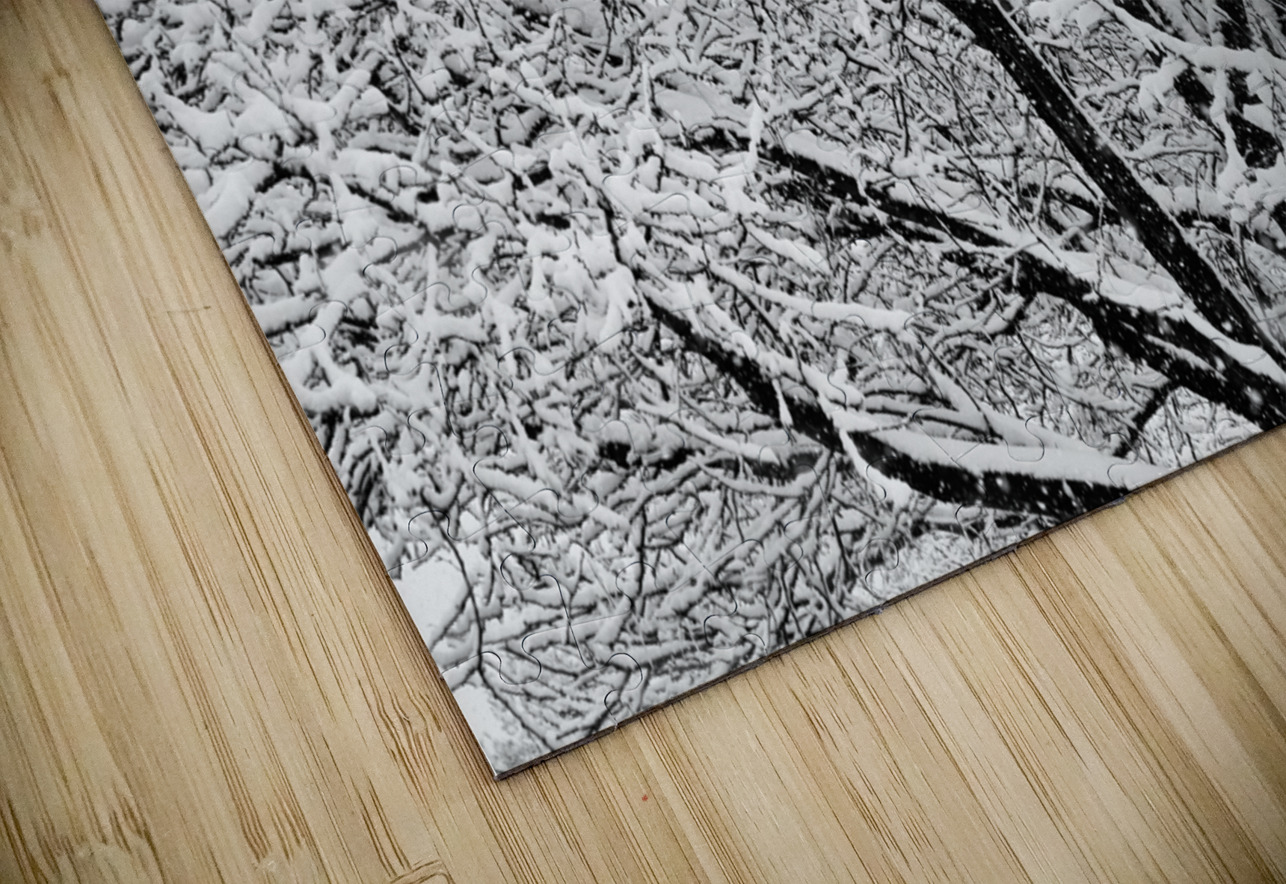 Black and White Snowy Tree Branches Abstract Three Bo Insogna Puzzle