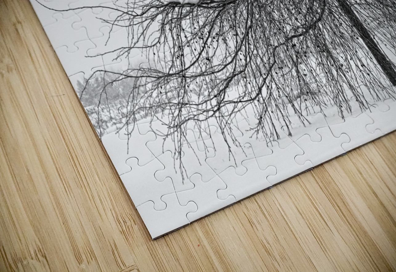 Wild Springtime Winter Tree Black and White Bo Insogna Puzzle