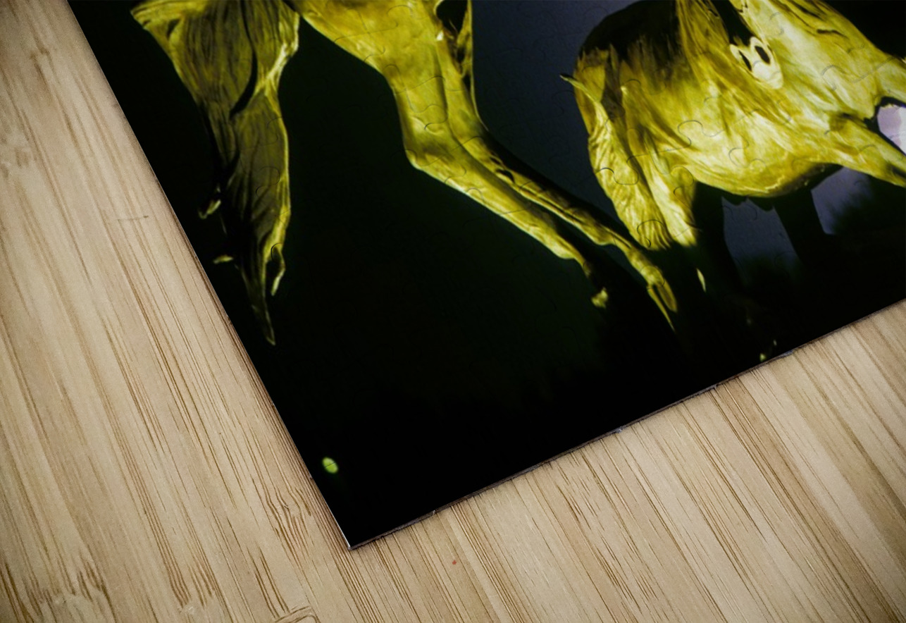 Horse World Bo Insogna Puzzle