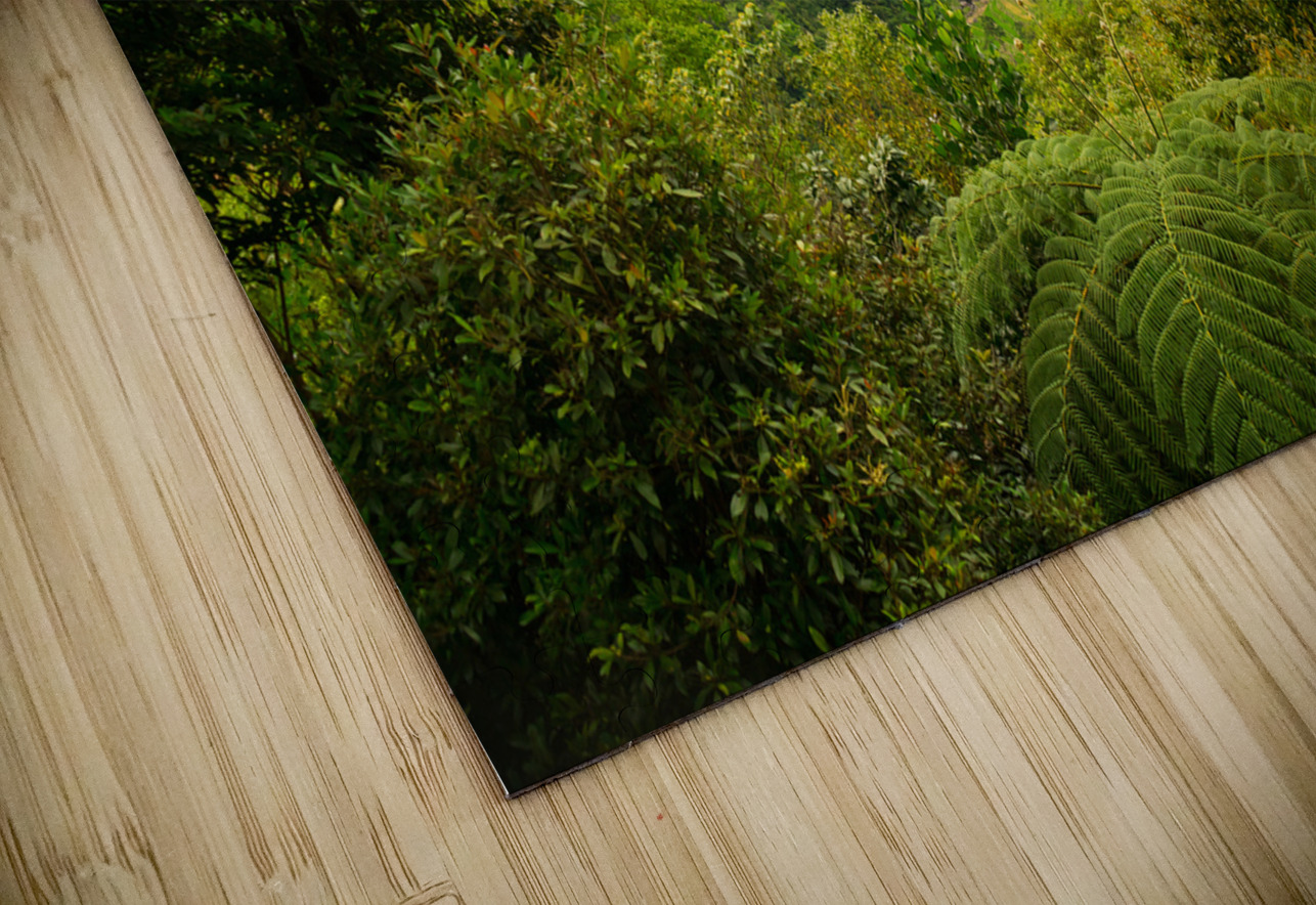 Whispers of the Malantan og Waterfall Hidden in Time Bo Insogna Puzzle