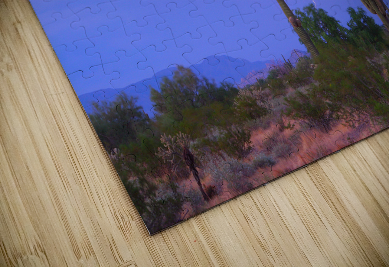 Southwest Sonoran Desert Lightning Strike Bo Insogna Puzzle