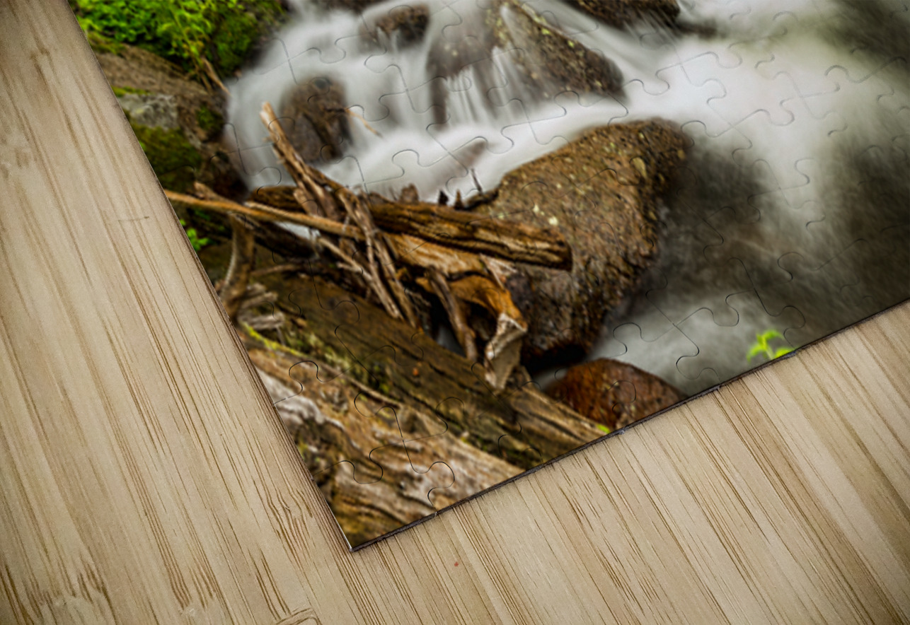 Roosevelt National Forest Stream Bo Insogna Puzzle