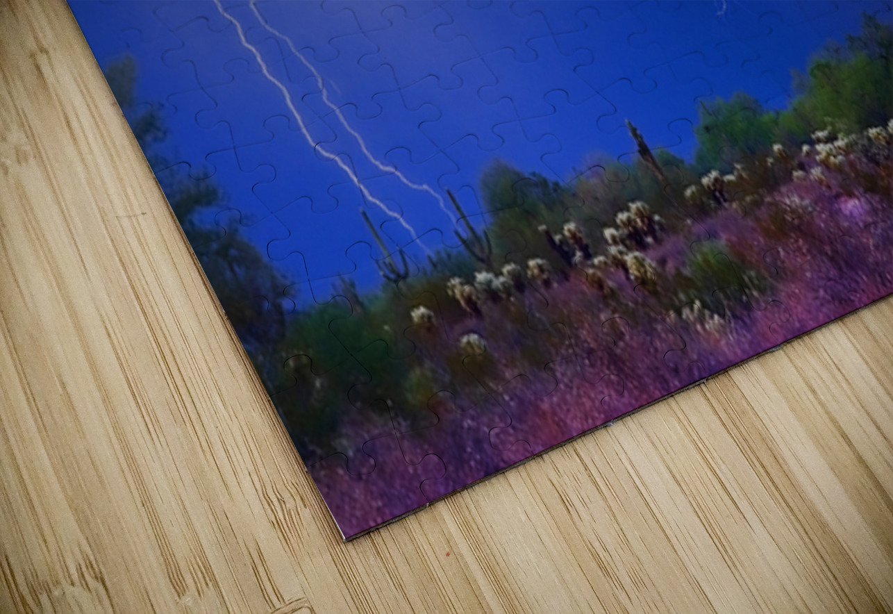 Colorful Sonoran Desert Storm Bo Insogna Puzzle