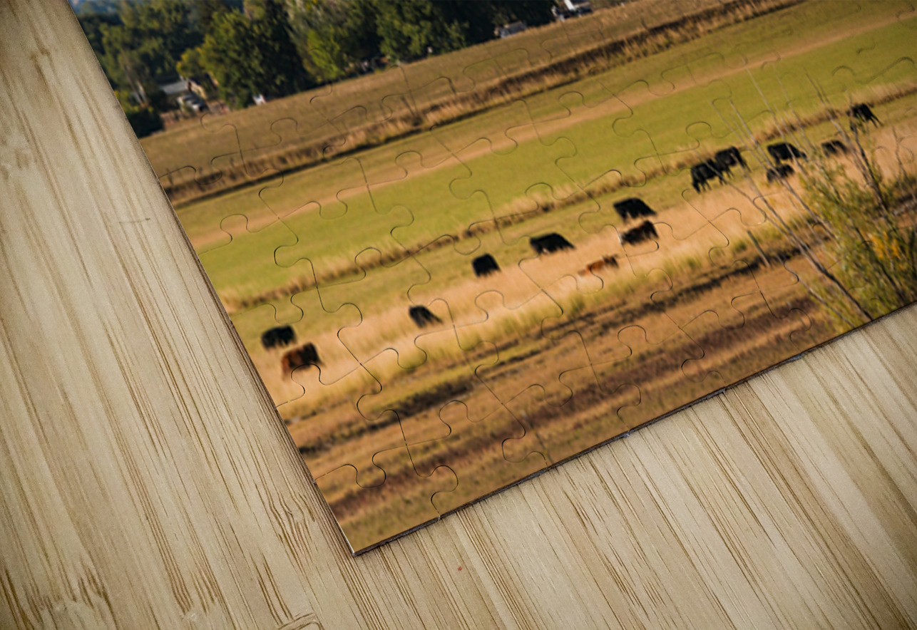 Boulder Flatirons and Cows Bo Insogna Puzzle