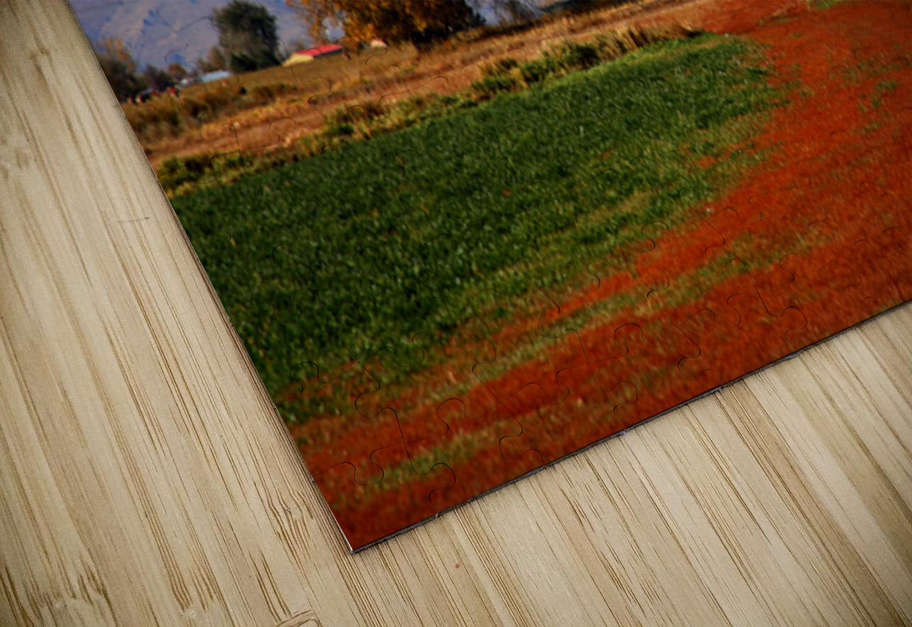 Boulder County Colorado landscape Red Road Autumn View Bo Insogna Puzzle
