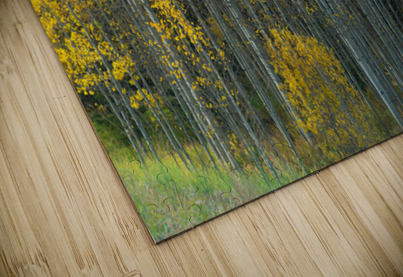 That  Morning Autumn Light Bo Insogna Puzzle