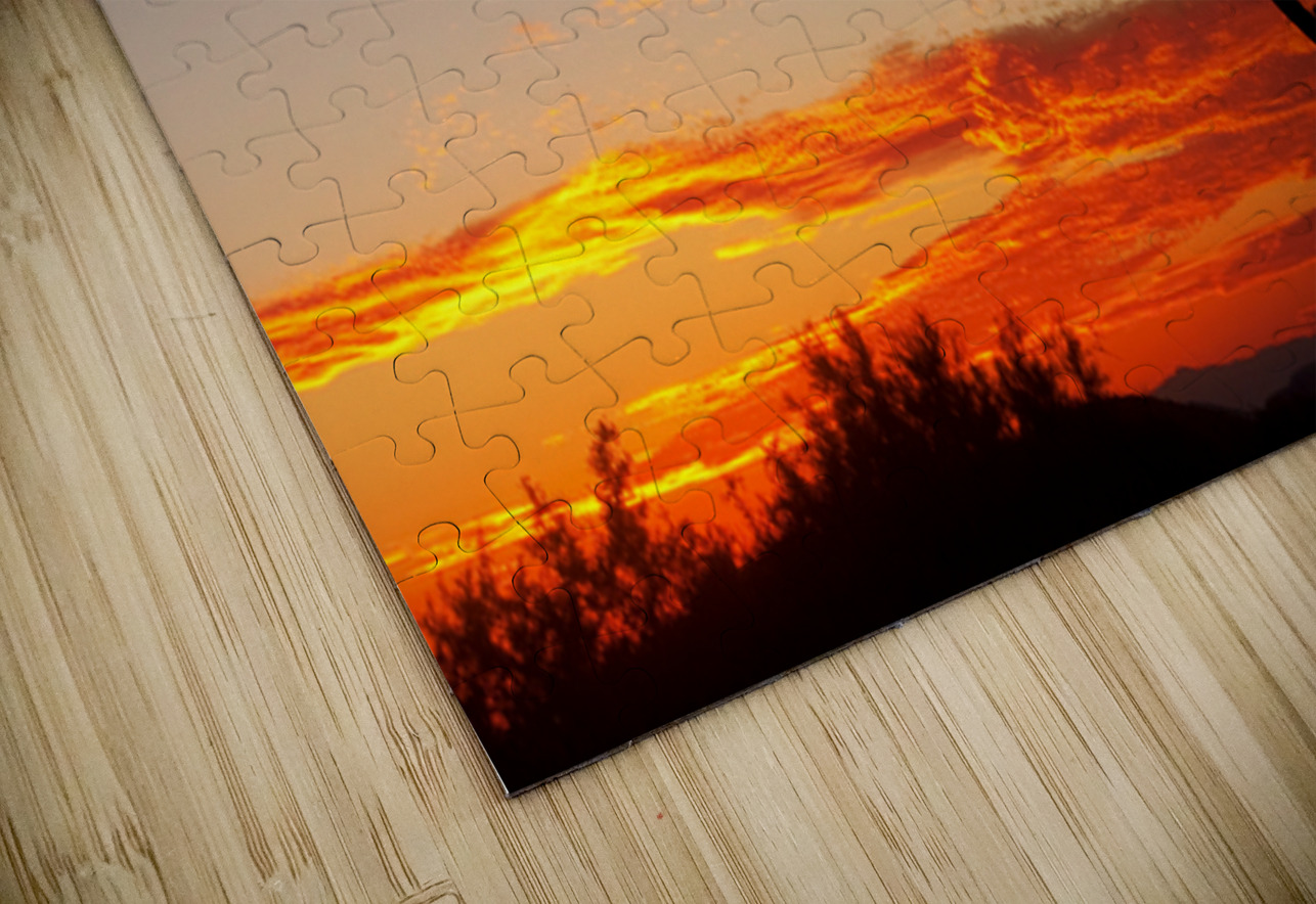  Fiery Arizona Sunset Behind a Silent Saguaro Bo Insogna Puzzle