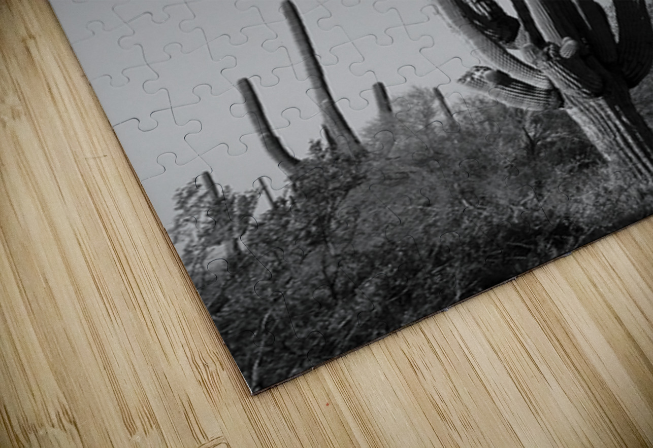 Weird Giant Saguaro Cactus in Black and White Bo Insogna Puzzle