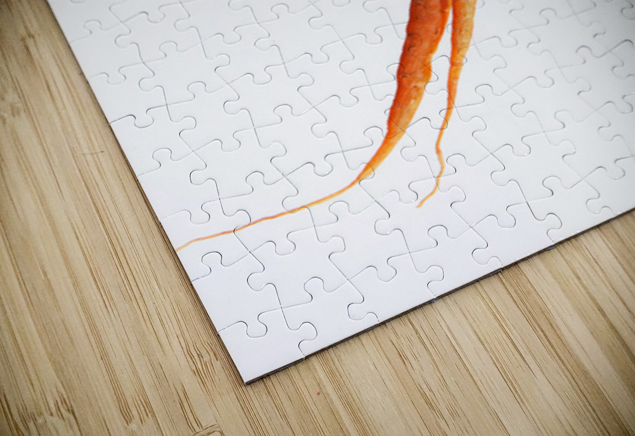 Dancing Carrot Wall Art Bo Insogna Puzzle