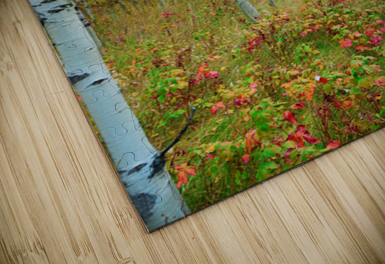 Radiant Autumn Forest Landscape in Gold and Red Bo Insogna Puzzle