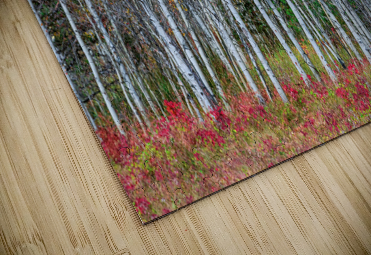 Aspen Grove Symphony Autumns Embrace Bo Insogna Puzzle