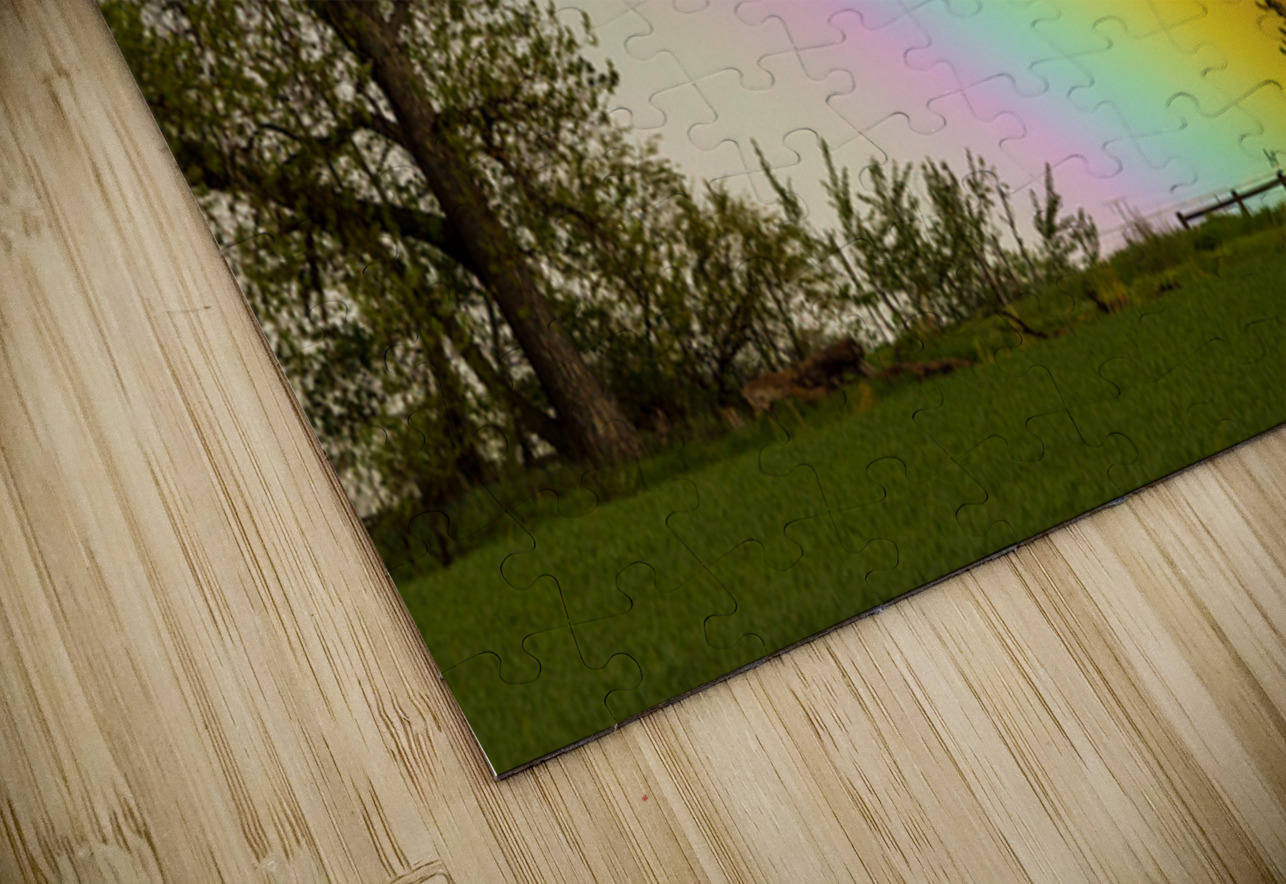 Where The Rainbow Meets The Earth Bo Insogna Puzzle