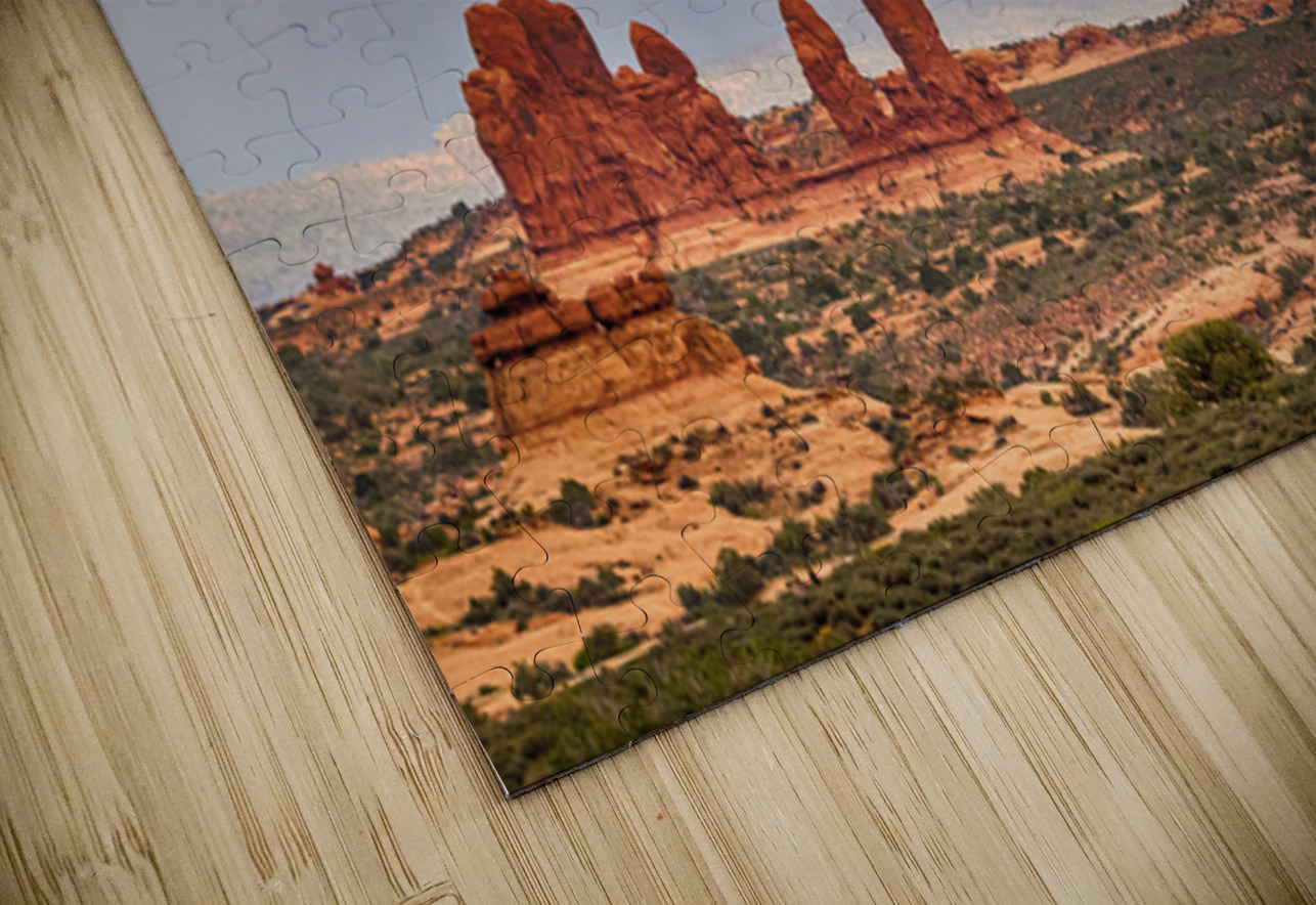 A Desert Rainbows Vibrant Display Bo Insogna Puzzle
