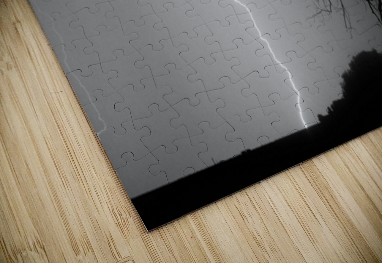 Lightning Strikes the Twisted Sentinel Tree Bo Insogna Puzzle