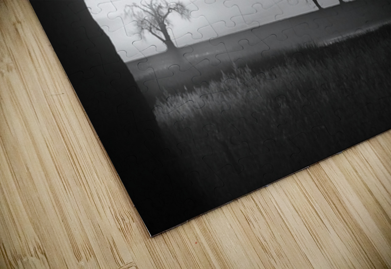 Whispers of Trees and Meadows at Sunrise in Black and White Bo Insogna Puzzle