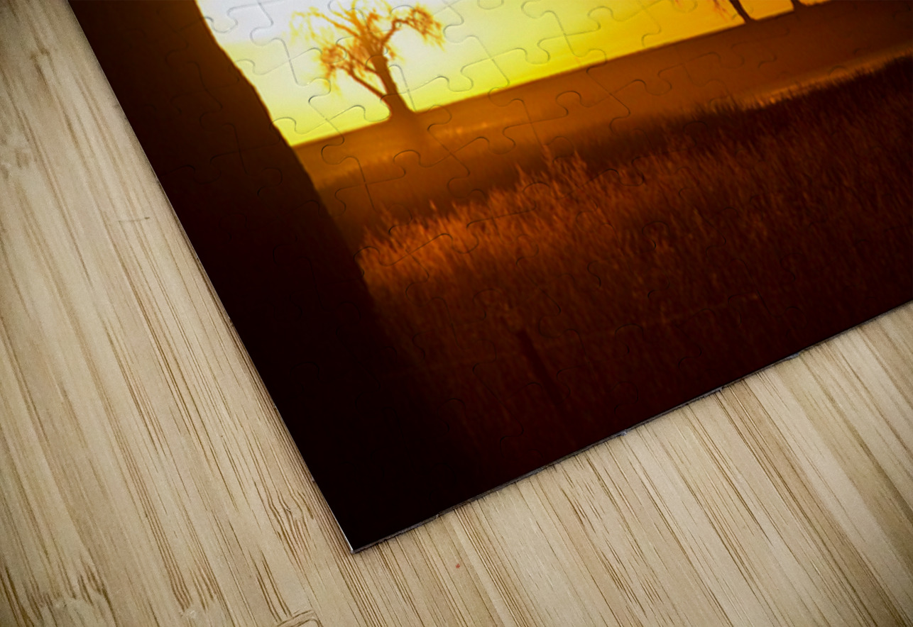 Golden Sunrise with Silhouetted Trees in Meadow Bo Insogna Puzzle