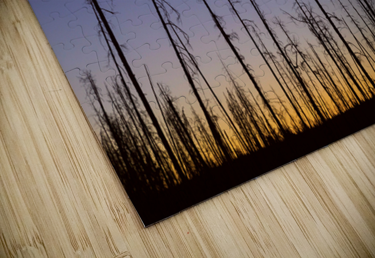 Yellowstone National Park wildfire aftermath Bo Insogna Puzzle