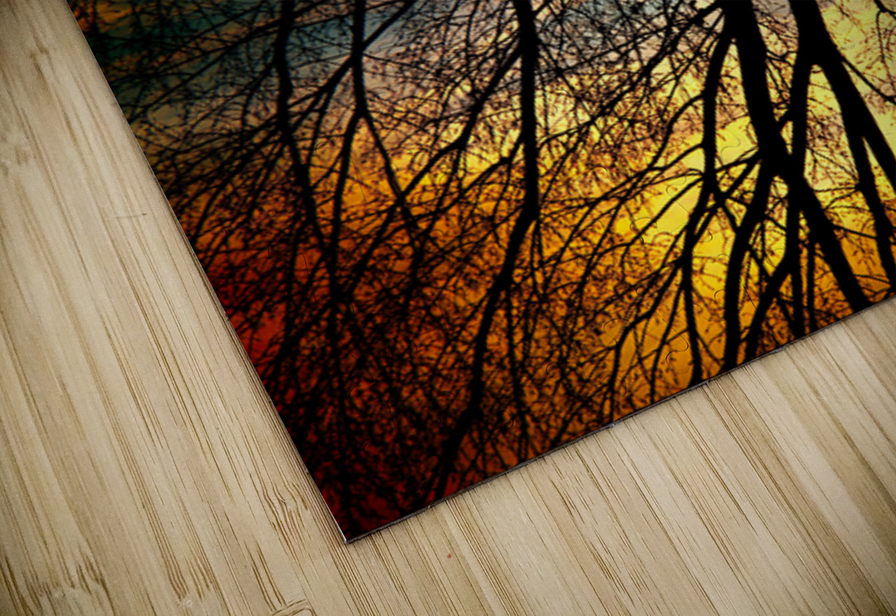 Sunset Tree Silhouette Abstract Mirror Reflection Bo Insogna Puzzle