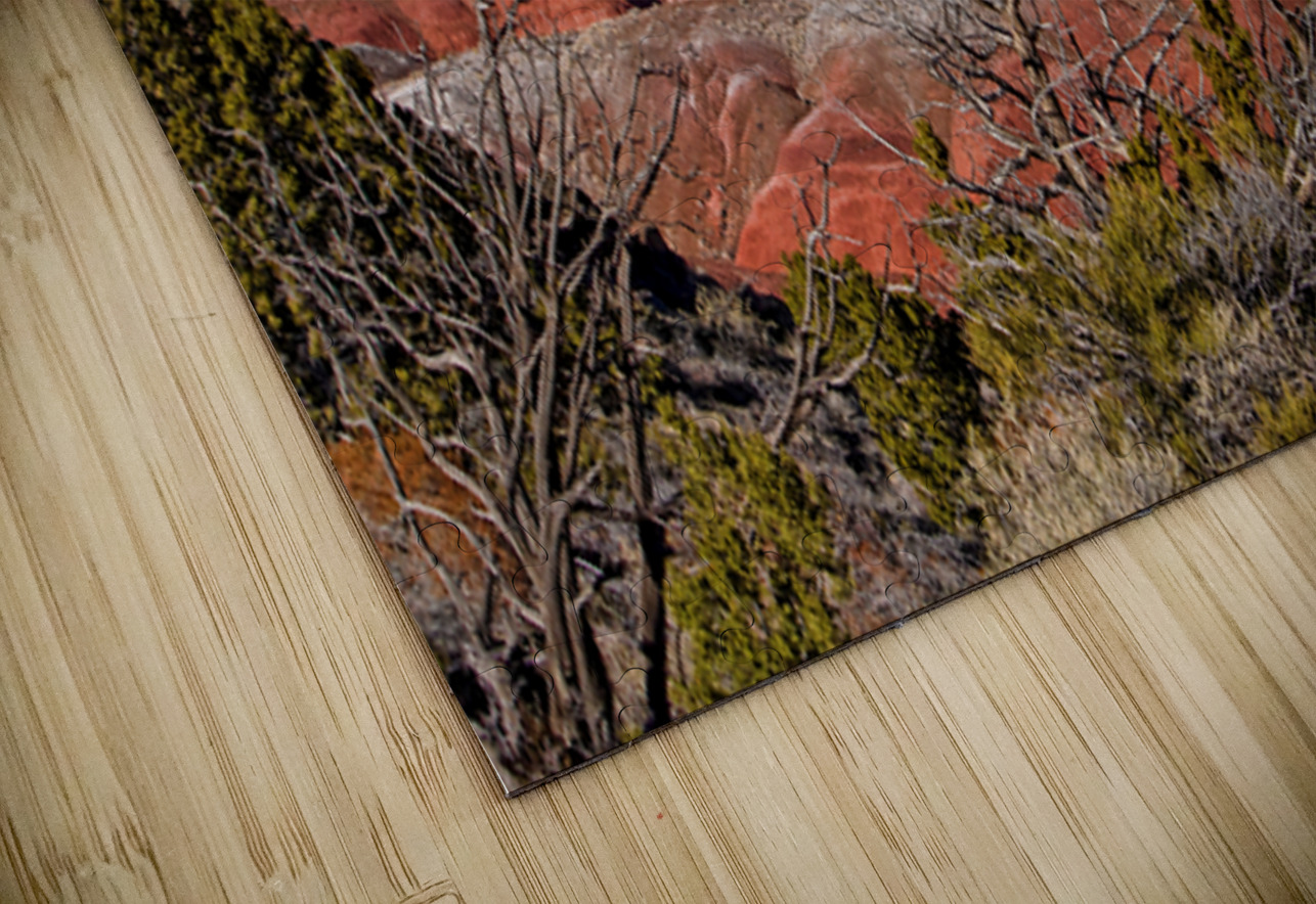 Painted Desert Horizons Arizona Bo Insogna Puzzle