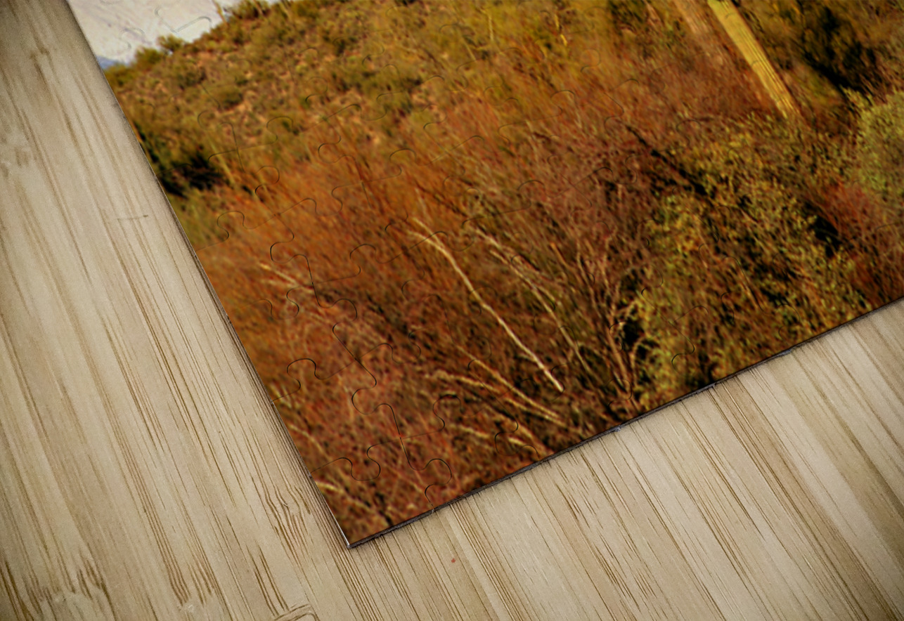 Four Peaks Arizona Desert Landscape Bo Insogna Puzzle