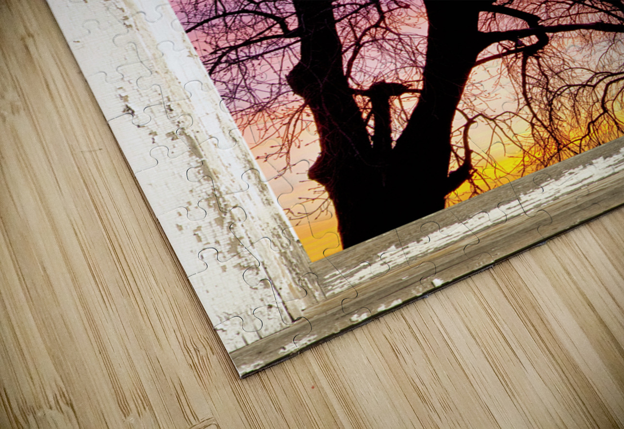 Colorful Tree White Farm House Window Portrai HD Sublimation Metal print