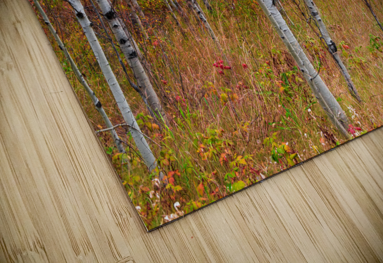 Happy Place In Woods HD Sublimation Metal print