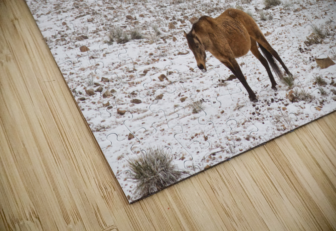 Rocky Mountain Horses Snow Fog HD Sublimation Metal print