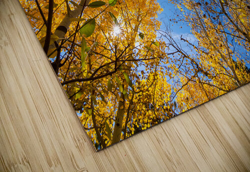 Blue Sky Autumn Bliss Bo Insogna puzzle