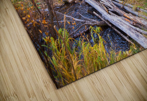 Rustic Log Bridge in Golden Autumn Forest – Serene Fall Creek  Bo Insogna puzzle