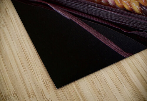 Colorful Indian Corn Bo Insogna puzzle