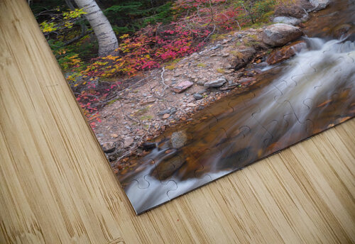 Tranquility on the Stream  Bo Insogna puzzle