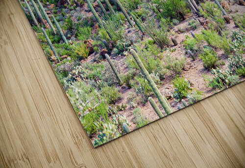 Arizona Desert Forest Bo Insogna puzzle