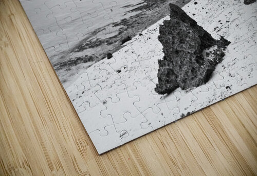 Moalboal Cebu White Sand Beach in Black and White Bo Insogna puzzle